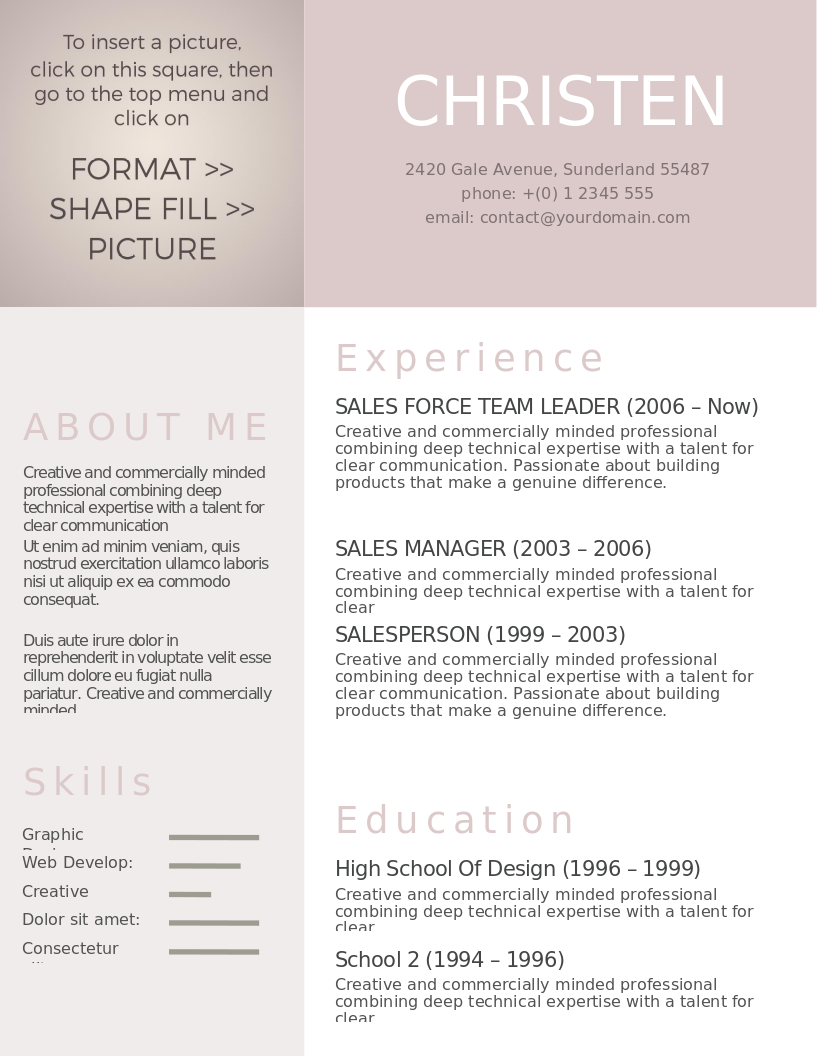 Vintage Rose CV preview